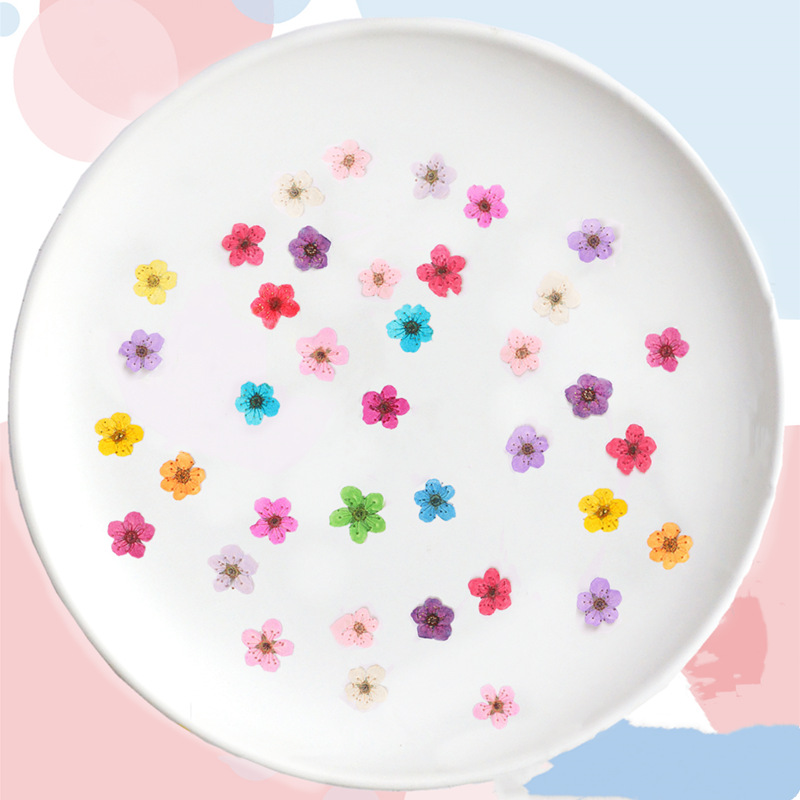 ミニプレス乾燥水仙,60個,植物,ハーブ,エポキシ樹脂,ジュ - Resin Art Baby のレビューと価格
